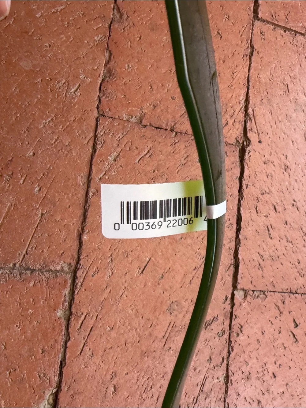 NWT Elizabeth and James Olive Green Sunglasses